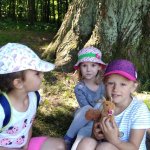 phoca_thumb_m_veverky v lese 8 Fotogalerie